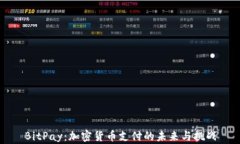 BitPay：加密货币支付的未