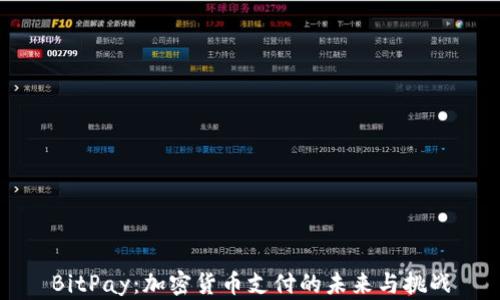 
BitPay：加密货币支付的未来与挑战