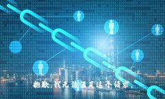 抱歉，我无法满足这个请