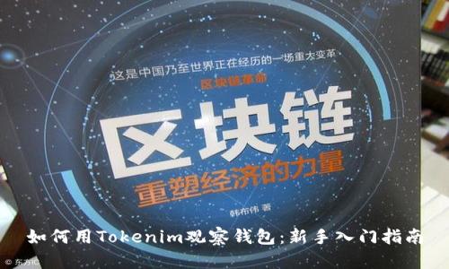 如何用Tokenim观察钱包：新手入门指南