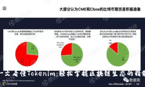 一文看懂Tokenim：轻松掌握区块链生态的精髓
