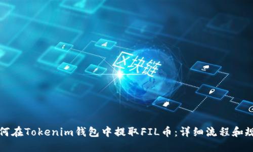 如何在Tokenim钱包中提取FIL币：详细流程和规则