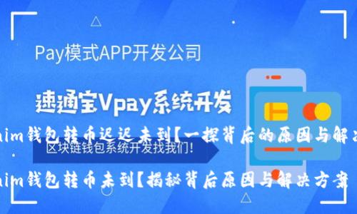 Tokenim钱包转币迟迟未到？一探背后的原因与解决办法

Tokenim钱包转币未到？揭秘背后原因与解决方案