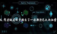 在这个充满挑战与机遇的