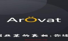 揭开加密货币割韭菜的真