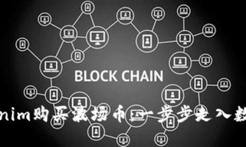 如何通过Tokenim购买波场币：一步步走入数字货币的世界