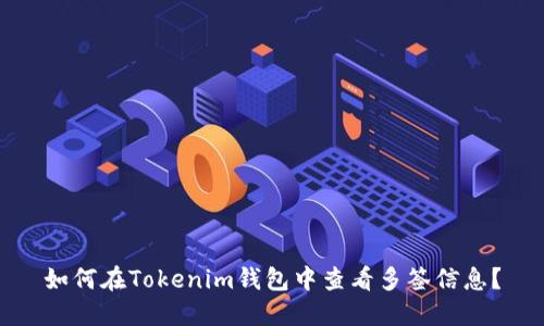 如何在Tokenim钱包中查看多签信息？