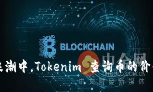 在数字货币浪潮中，Tokenim 查询币的价值与未来展望