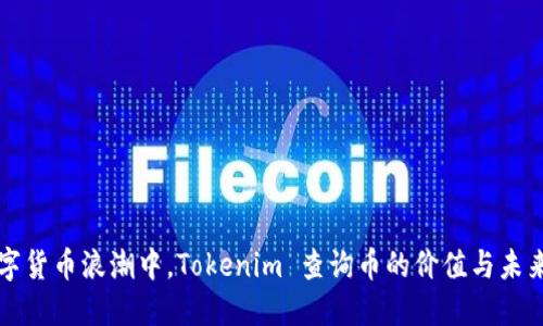 在数字货币浪潮中，Tokenim 查询币的价值与未来展望