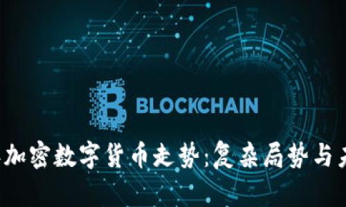 2018年加密数字货币走势：复杂局势与未来展望