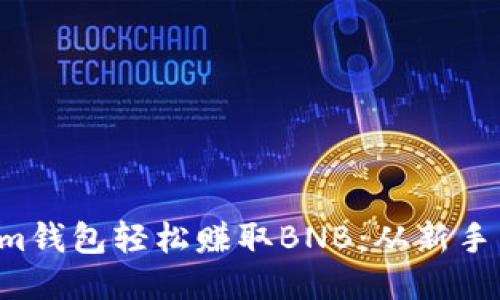 如何通过Tokenim钱包轻松赚取BNB：从新手到高手的全攻略！