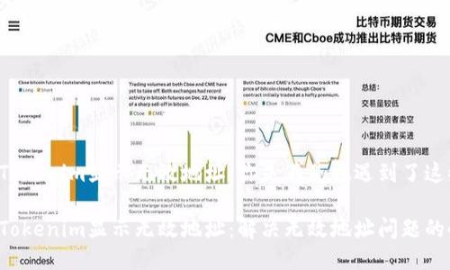 货币转Tokenim显示无效地址：你是不是也遇到了这些问题？

货币转Tokenim显示无效地址：解决无效地址问题的小攻略