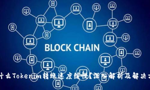 为什么Tokenim转账速度缓慢？深入解析及解决方案