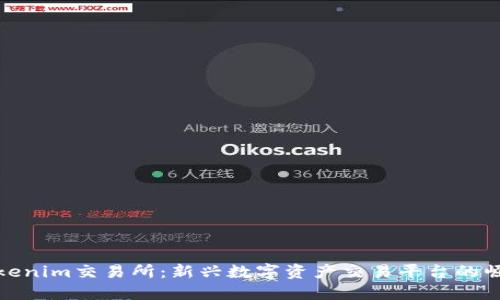 探秘Tokenim交易所：新兴数字资产交易平台的崛起之路