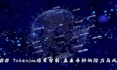 ### Tokenim项目分析：未来币