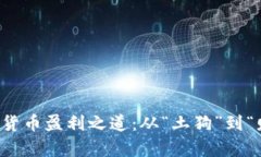 揭秘小市值加密货币盈利