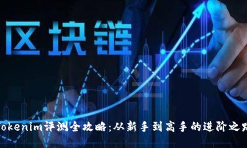 Tokenim评测全攻略：从新手到高手的进阶之路