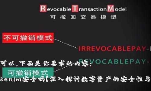 当然可以，下面是你要求的内容：

放Tokenim安全吗？深入探讨数字资产的安全性与风险