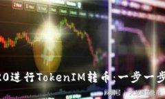 如何使用ERC20进行TokenIM转