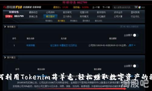 如何利用Tokenim薅羊毛，轻松赚取数字资产的秘密