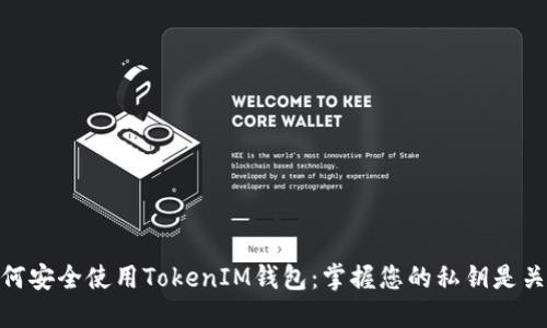 如何安全使用TokenIM钱包：掌握您的私钥是关键