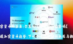 加密货币的未来：你真的