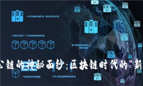 揭开Tokenim公链的神秘面纱：区块链时代的“新星”与未来潜力
