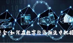加密货币资金：如何在数