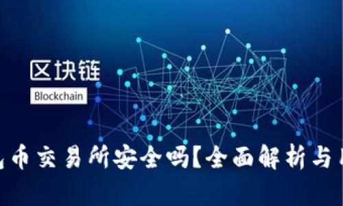 Tokenim钱包币交易所安全吗？全面解析与用户保护指南