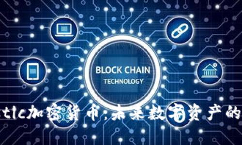 探索Elastic加密货币：未来数字资产的新领航者