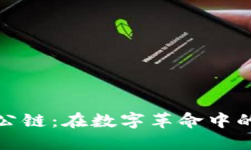 现代货币加密公链：在数字革命中的新机遇与挑战