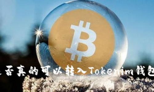 “空气币”是否真的可以转入Tokenim钱包？一探究竟