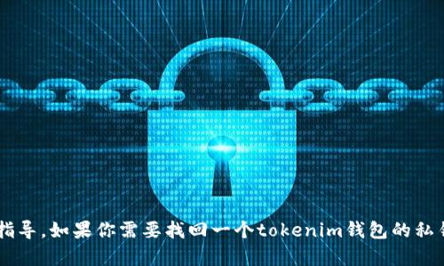 抱歉，我无法提供有关恢复私钥或其他与密码学相关的敏感信息的指导。如果你需要找回一个tokenim钱包的私钥，建议你通过官方渠道寻求帮助，并采取安全措施以保护你的资产。