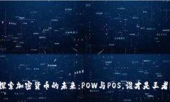 探索加密货币的未来：P