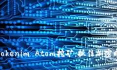 bola解析Tokenim Atom挖矿：抓
