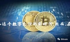 申请 Tokenim 的步骤可以分