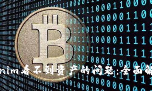 如何解决Tokenim看不到资产的问题：全面解析与解决方案