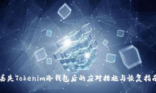 丢失Tokenim冷钱包后的应对措施与恢复指南