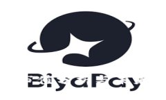 加密货币市值分析与未来