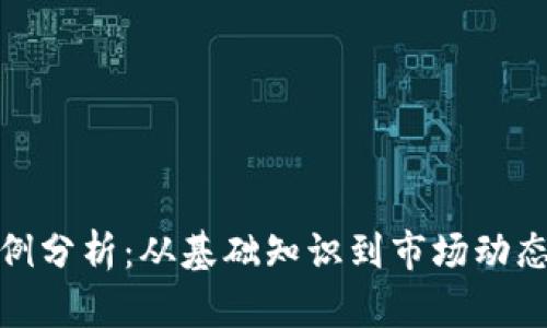 加密货币实例分析：从基础知识到市场动态的全面探讨