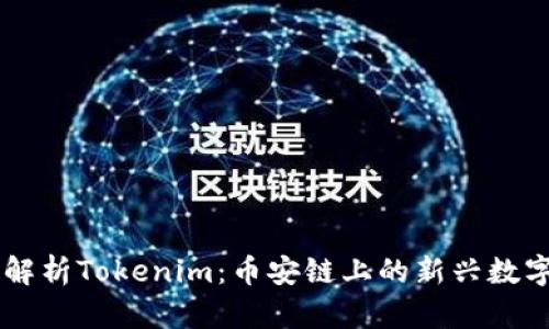 深入解析Tokenim：币安链上的新兴数字货币