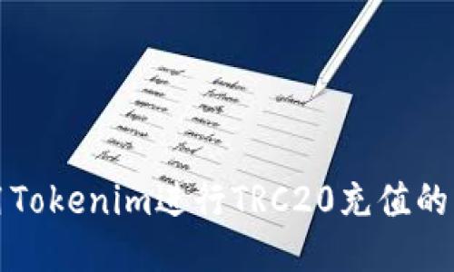 如何使用Tokenim进行TRC20充值的详细指南