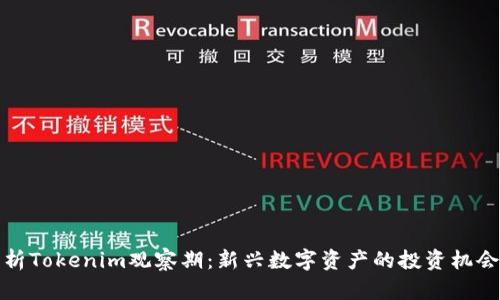 深度解析Tokenim观察期：新兴数字资产的投资机会与风险