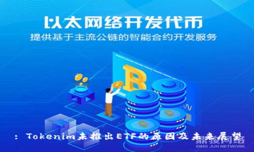 : Tokenim未推出ETF的原因及未来展望