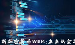 深入剖析加密货币WEM：未