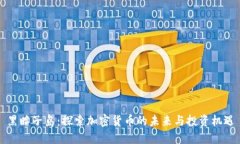 黑瞎子岛：探索加密货币