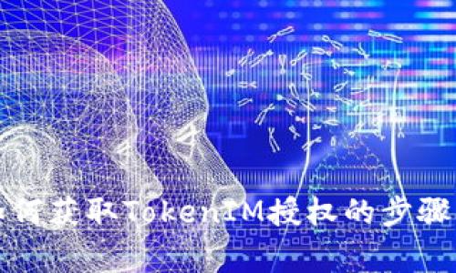 全面解析如何获取TokenIM授权的步骤与注意事项