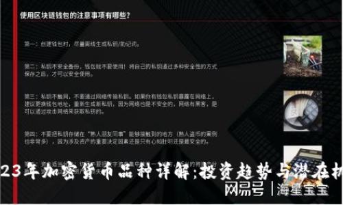 2023年加密货币品种详解：投资趋势与潜在机会