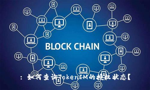 : 如何查询TokenIM的授权状态？