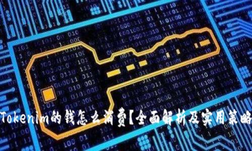 Tokenim的钱怎么消费？全面解析及实用策略